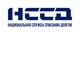 Логотип НССД